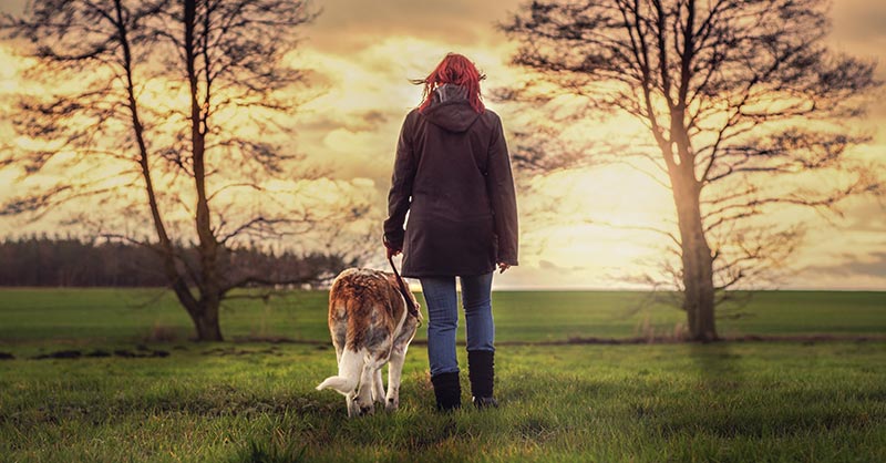 Frau geht mit Hund über eine Wiese