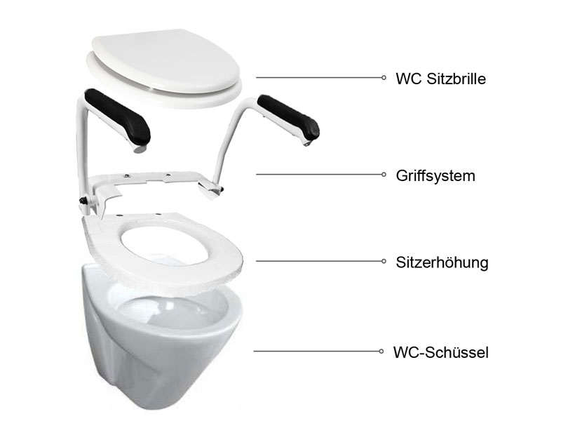 WC mit Griffsystem für Sitzbrille, Modellaufbau