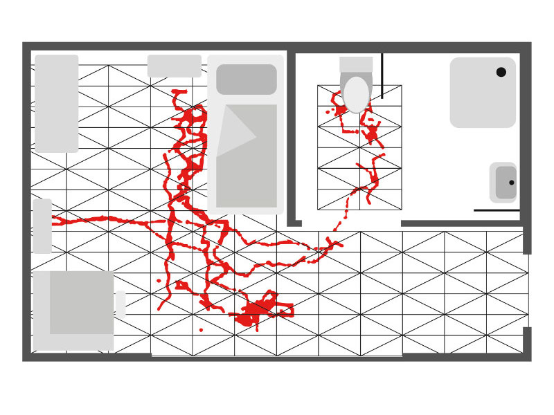 Grafik zeigt Laufwege im Bewohnerzimmer, die der Sensorboden erfasst und aufzeichnet.