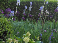 Blumenbeet Foto Blumenbeet